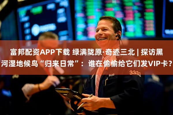 富邦配资APP下载 绿满陇原·奇迹三北 | 探访黑河湿地候鸟“归来日常”：谁在偷偷给它们发VIP卡？